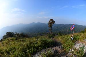 BIB: 
                            <button type="button" onclick="openModal(13605104)" class="btn btn-primary btn-sm float-right btn-popup" data-toggle="modal" data-target=".modal-high-quality">
                        <i class="fas fa-shopping-cart"></i> Add to Cart
                    </button>
                                            <button type="button" onclick="isThisMe(13605104, true)" class="btn btn-success btn-sm float-right btn-popup btn-isme hidden" data-toggle="tooltip" data-placement="bottom" title="นี่คือรูปของคุณใช่ไหม คลิกที่นี่เพื่อเอาเข้าอัลบั้ม">
                        <i class="fas fa-plus"></i> Add to album
                    </button>
                    <button type="button" onclick="isThisMe(13605104, false)" class="btn btn-warning btn-sm float-right btn-popup btn-isnotme hidden">
                        <i class="fas fa-ban"></i> Remove from album
                    </button>